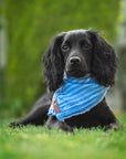 Blue Sky Summer Cooling Bandana - Bodhi & The Birchtree
