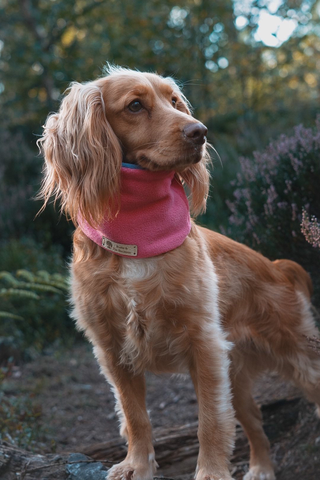 Bodhi & The Birchtree Pink & Airforce Blue Polar Fleece Snood - Bodhi & The Birchtree