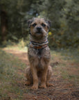 Woodland Camo & Dark Camel Polar Fleece Snood - Bodhi & The Birchtree