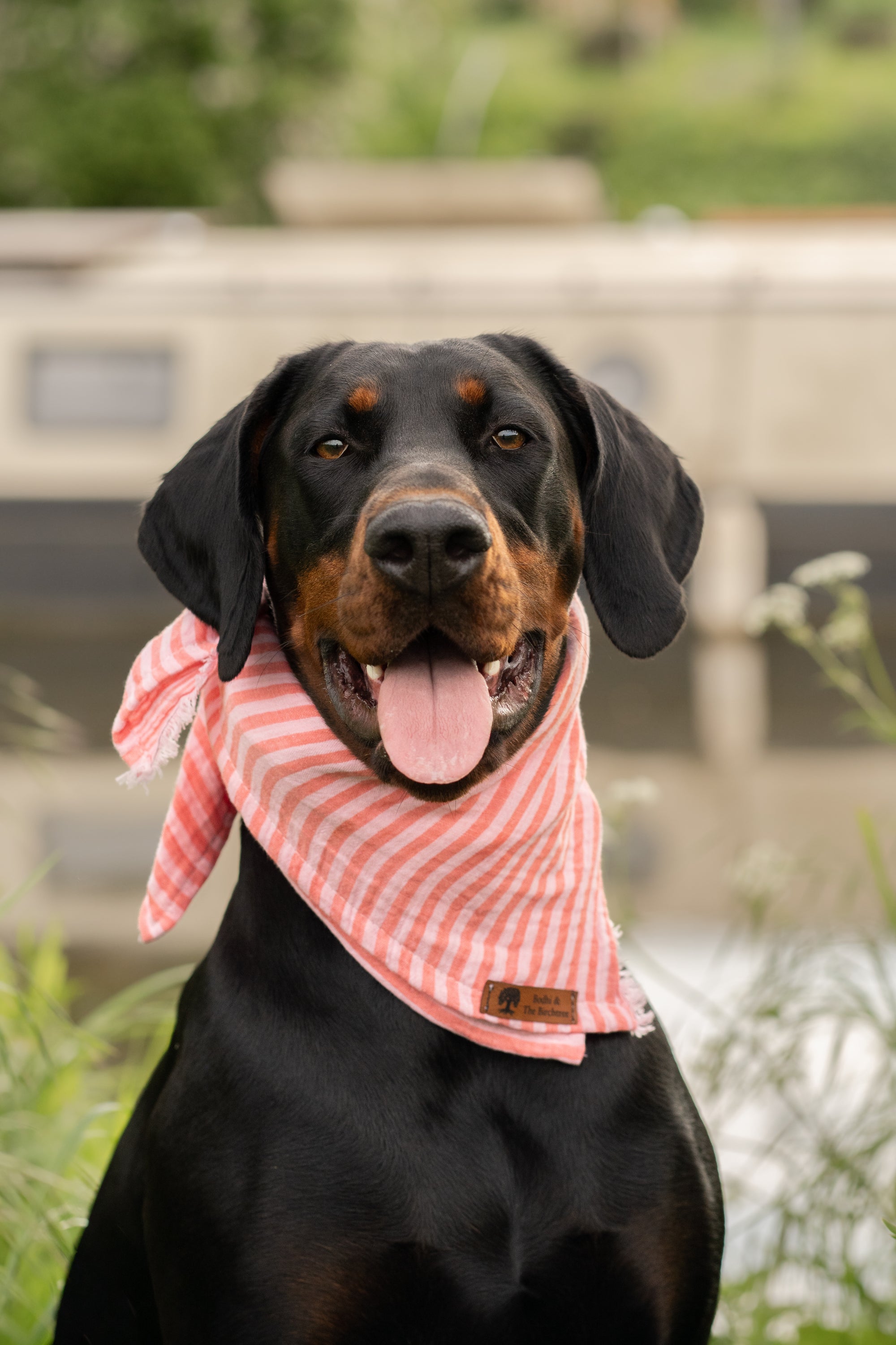 Pink Stripe Summer Cooling Bandana - Bodhi & The Birchtree