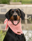 Pink Stripe Summer Cooling Bandana - Bodhi & The Birchtree