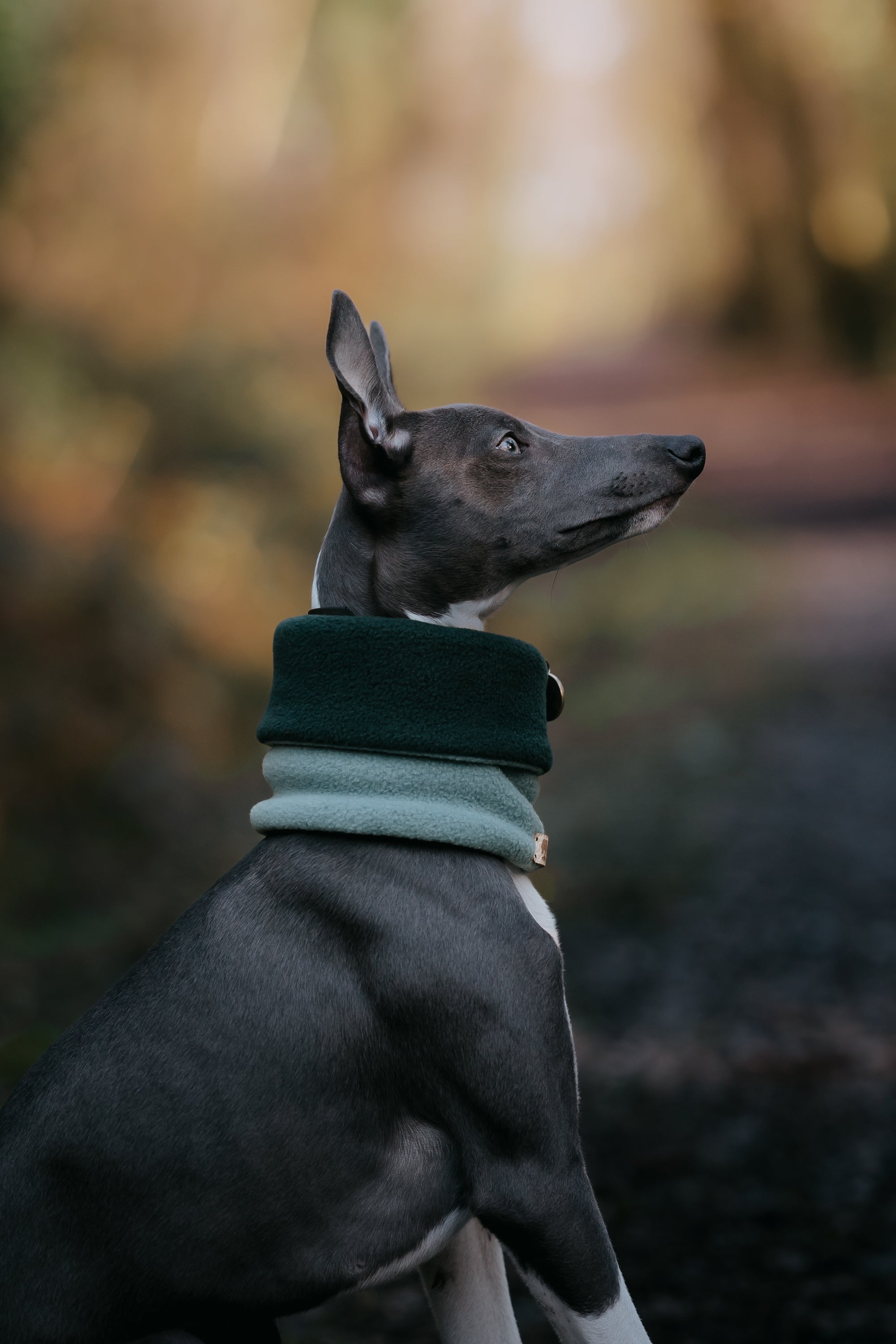 Limited Edition ‘The Nimble’ Sage & Bottle Green Polar Fleece Snood - Bodhi & The Birchtree