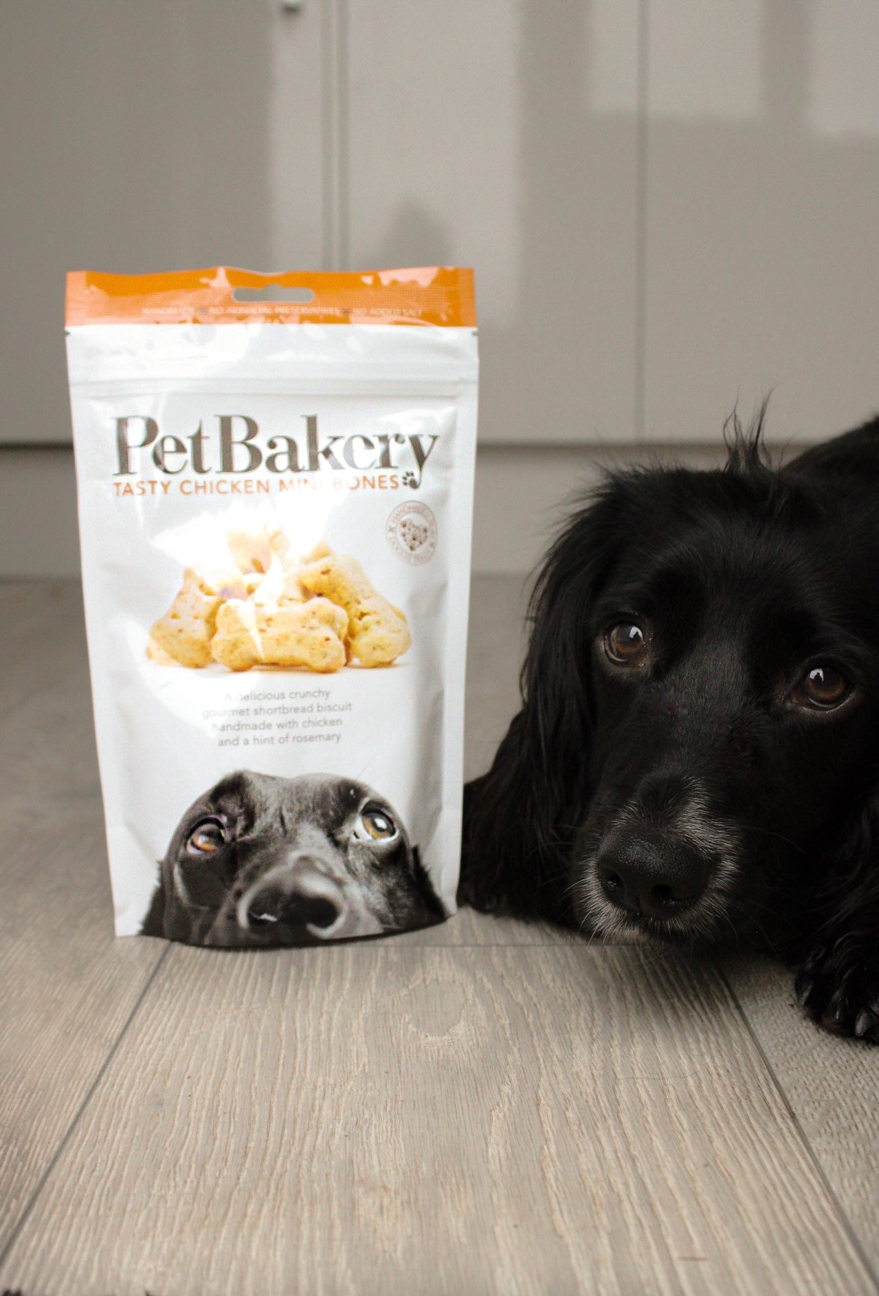 Pet Bakery Tasty Chicken Mini Bones - Bodhi & The Birchtree