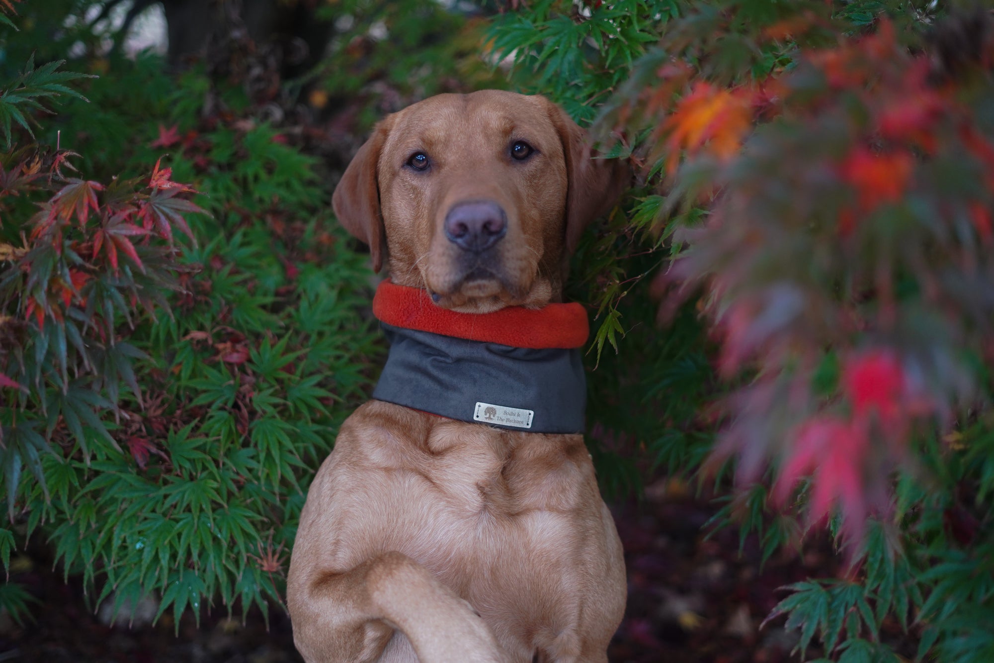 Bodhi & The Birchtree Khaki & Burnt Orange Waterproof & Polar Fleece Snood - Bodhi & The Birchtree