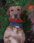 Bodhi & The Birchtree Khaki & Burnt Orange Waterproof & Polar Fleece Snood - Bodhi & The Birchtree