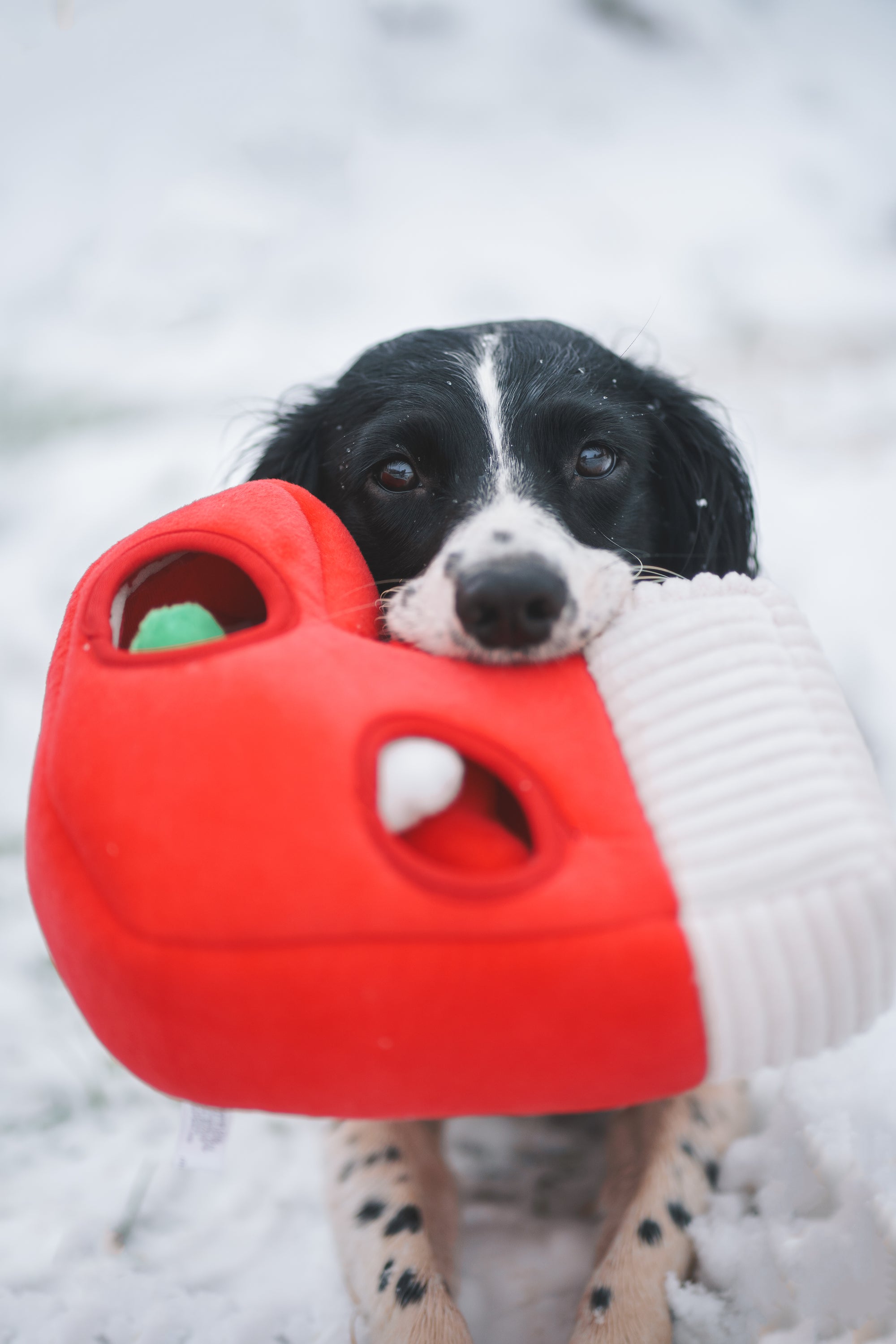 Holiday Burrow - Naughty or Nice Stocking - Bodhi & The Birchtree