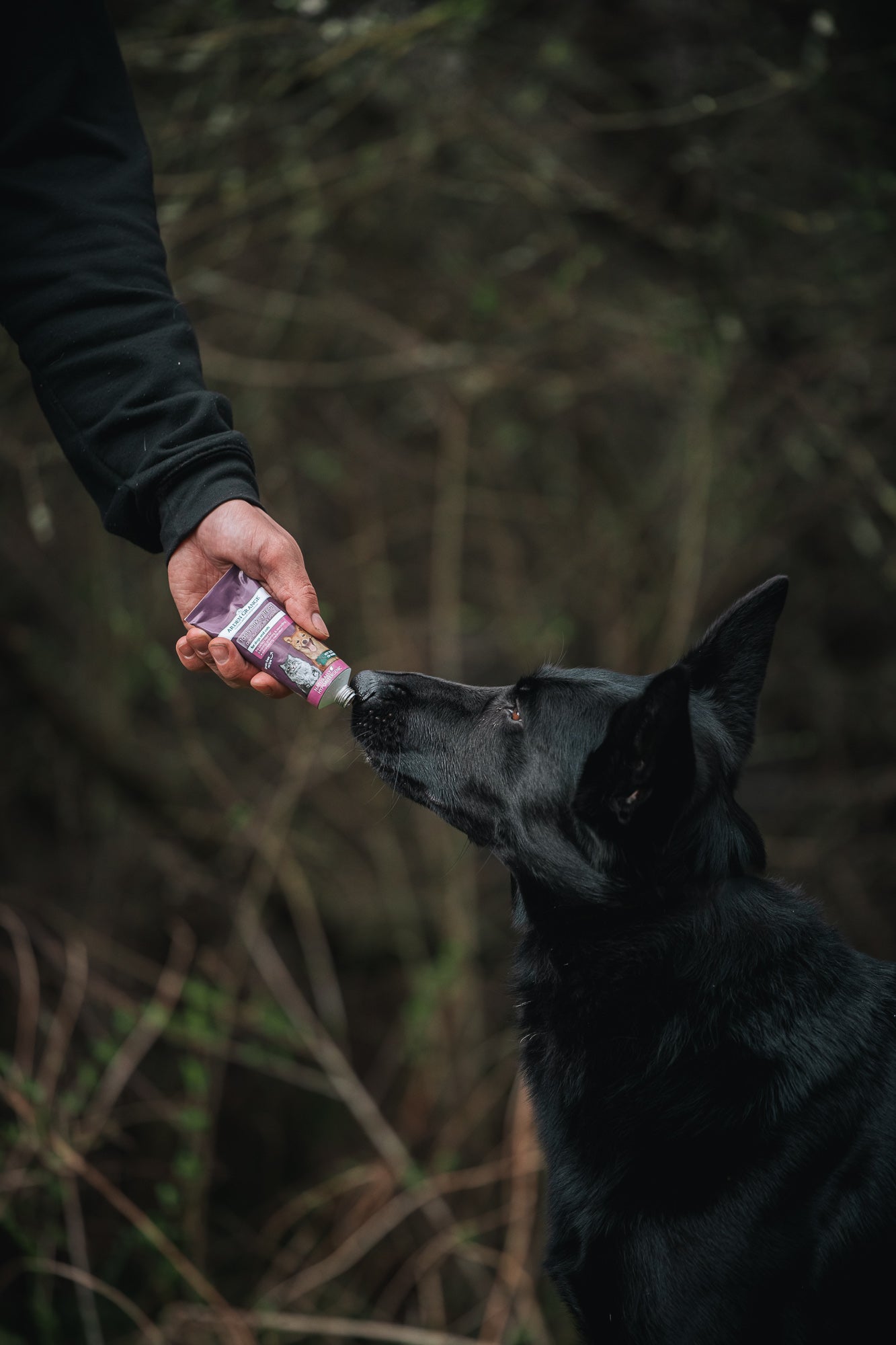 Arden Grange Tasty Turkey Treat - Bodhi & The Birchtree