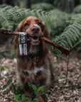 Ostrich Wing - Bodhi & The Birchtree