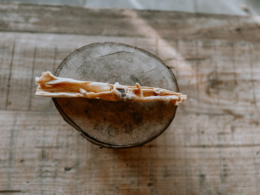 Medium Lamb Ear Stick - Bodhi & The Birchtree