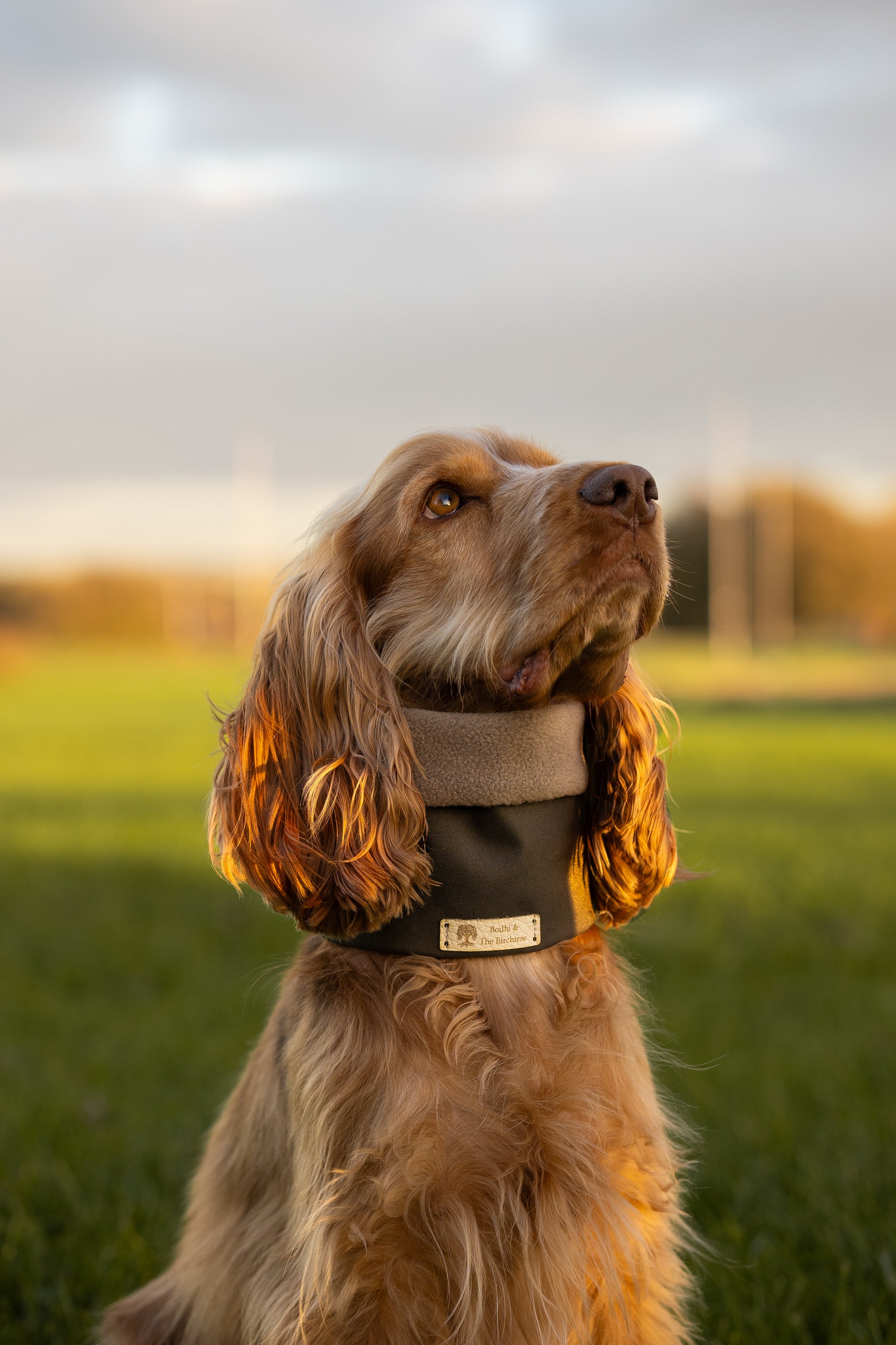 Bodhi & The Birchtree Khaki & Dark Camel Waterproof & Polar Fleece Snood - Bodhi & The Birchtree