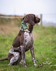 Bodhi & The Birchtree Camo & Khaki Waterproof & Polar Fleece Snood - Bodhi & The Birchtree