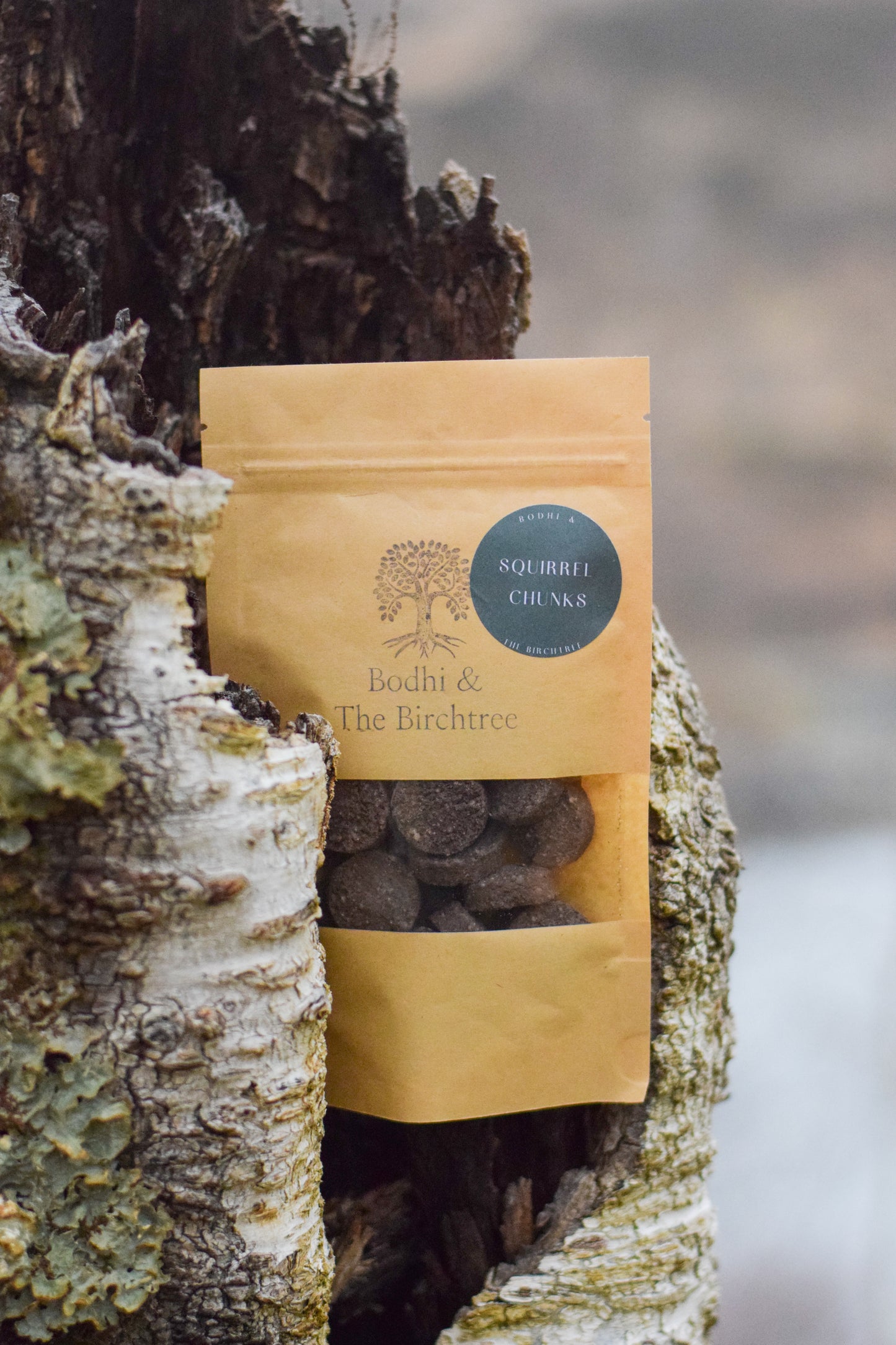Bodhi & The Birchtree Squirrel Chunks 80g - Bodhi & The Birchtree