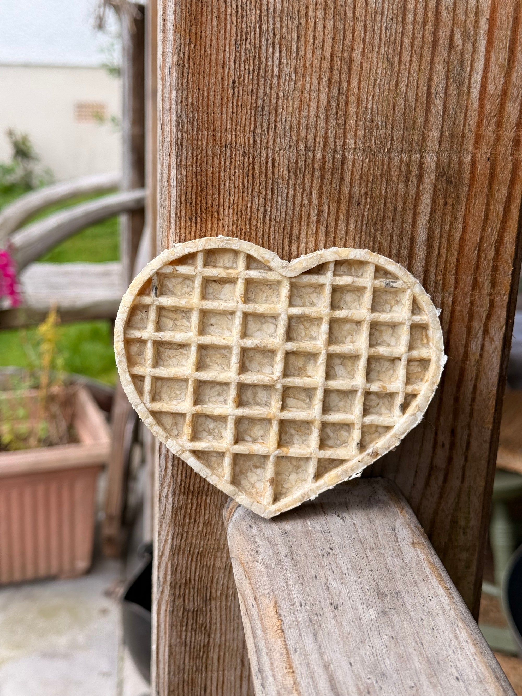 Waffle Heart Large X2 - Fiver Friday - Bodhi & The Birchtree