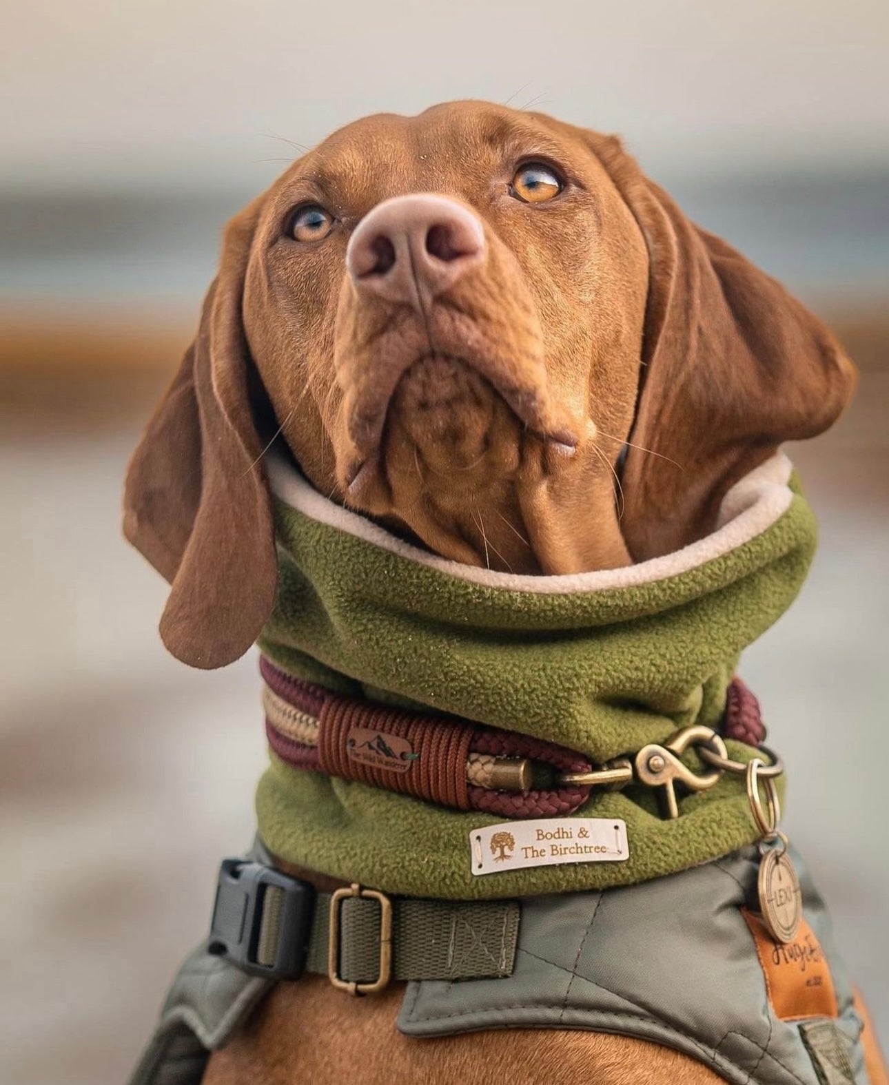 Bodhi & The Birchtree Moss Green Polar Fleece Snood - Bodhi & The Birchtree