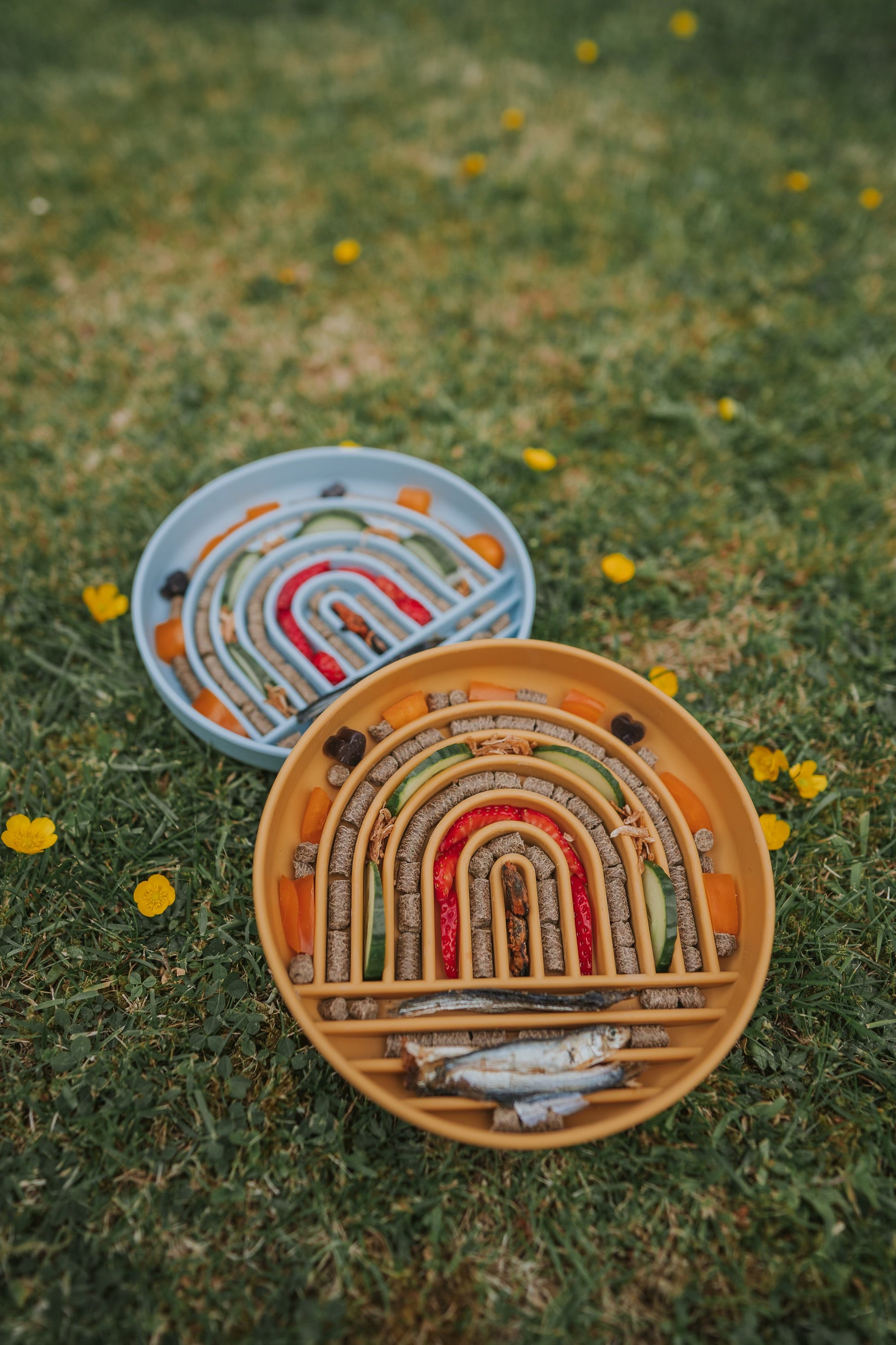 Rainbow Enrichment Bowl Honey - Bodhi & The Birchtree