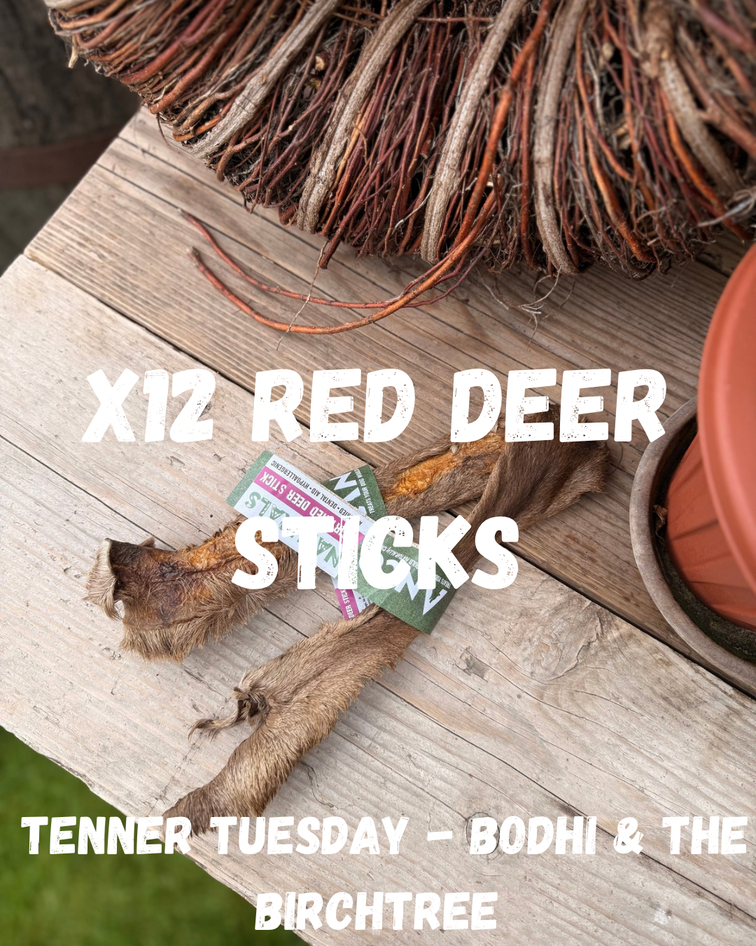 X12 Hairy Red Deer Sticks - Tenner Tuesday - Bodhi & The Birchtree