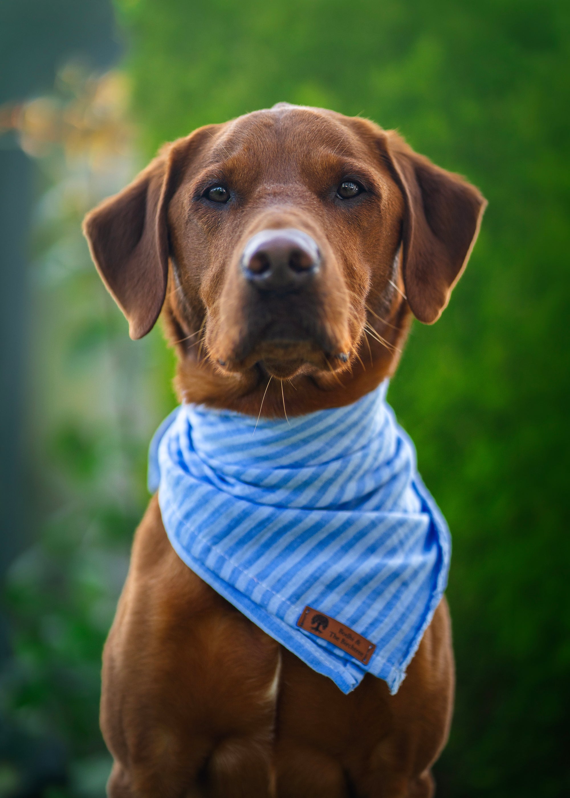 Blue Sky Summer Cooling Bandana - Bodhi & The Birchtree