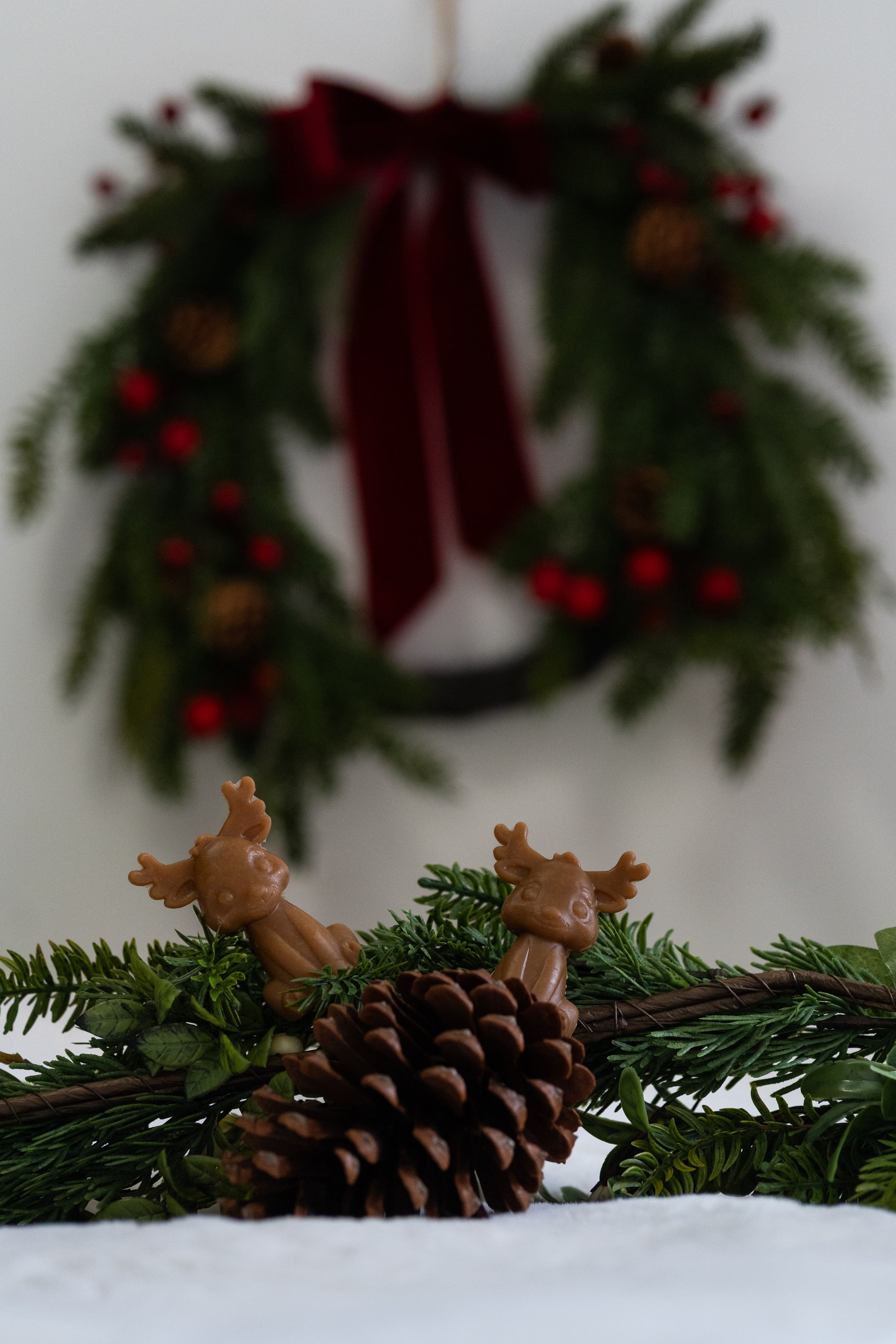 Reindeer Veggie Dental Chew - Bodhi & The Birchtree