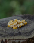 Pumpkin, Ginger & Coconut Oil Digestive Bites