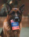 Fish4dogs Finest Salmon Mousse 100g - Bodhi & The Birchtree