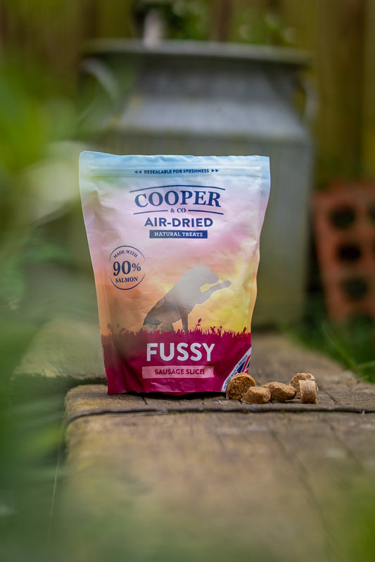 Cooper & Co Air Dried Treats Fussy Salmon - Bodhi & The Birchtree