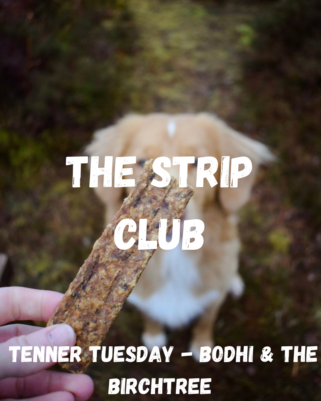 The Strip Club - Pure Meat Strips - Fiver Friday - Bodhi & The Birchtree