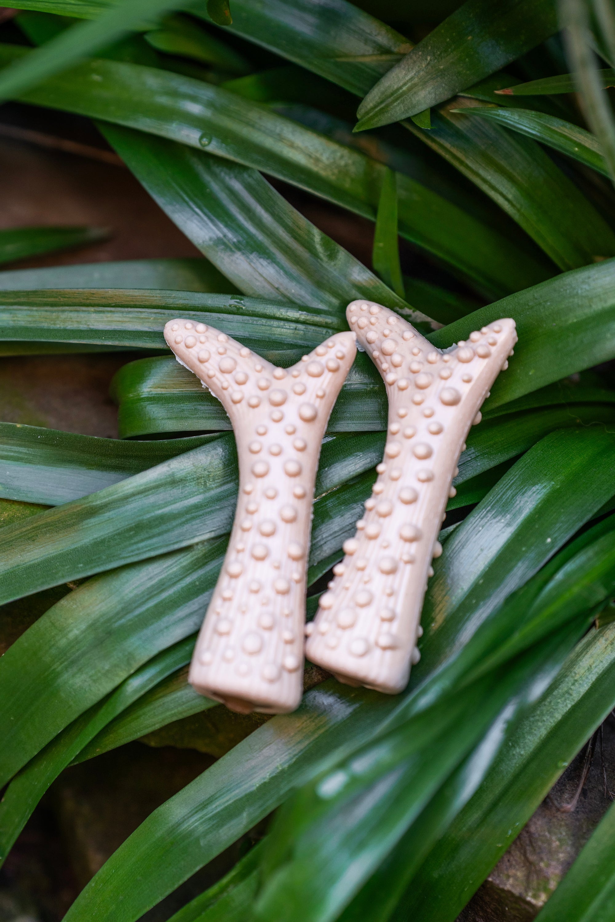 Peanut Butter Filled Antler - Bodhi &amp; The Birchtree