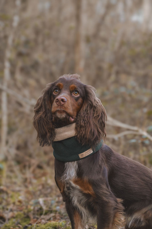 Bodhi & The Birchtree Fir Green Fleece Snood