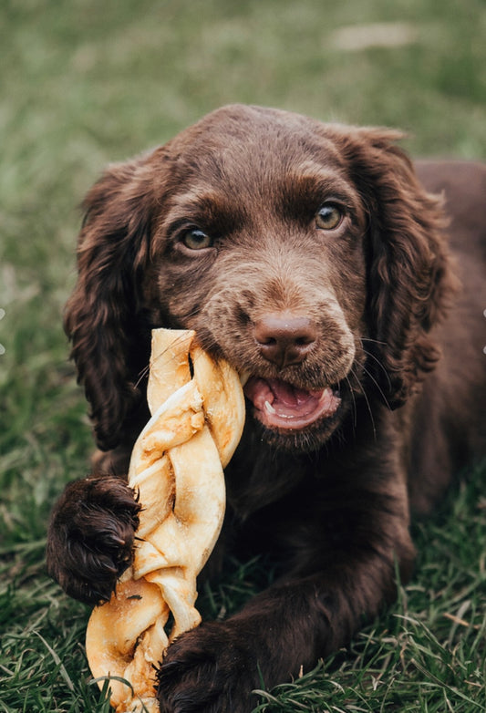 Medium Beef Braids