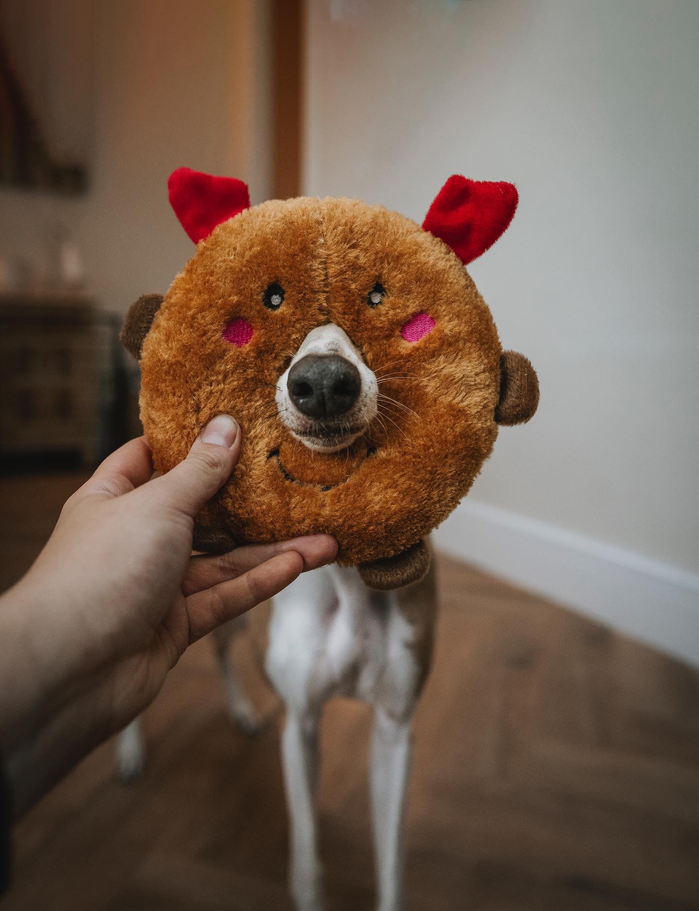 Holiday Donutz Buddies - Reindeer - Bodhi & The Birchtree