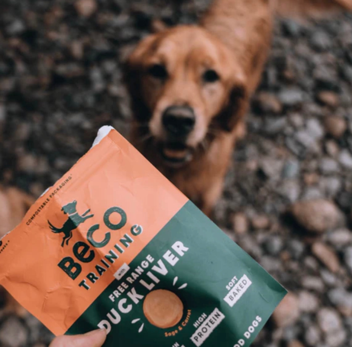 Beco Free Range Duck Liver With Sage & Carrot Treats - Bodhi & The Birchtree