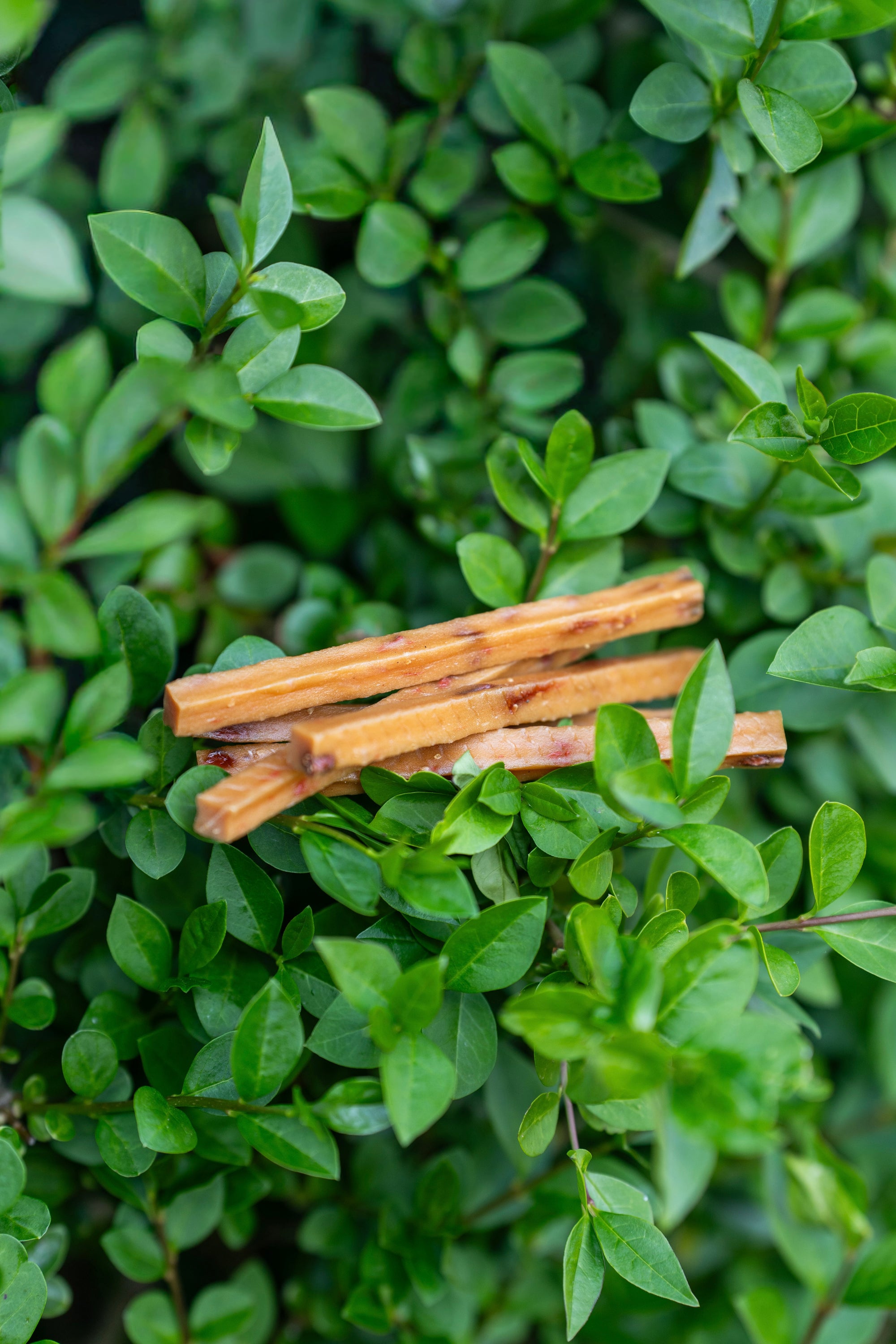 Chicken &amp; Goji Strips - Bodhi &amp; The Birchtree