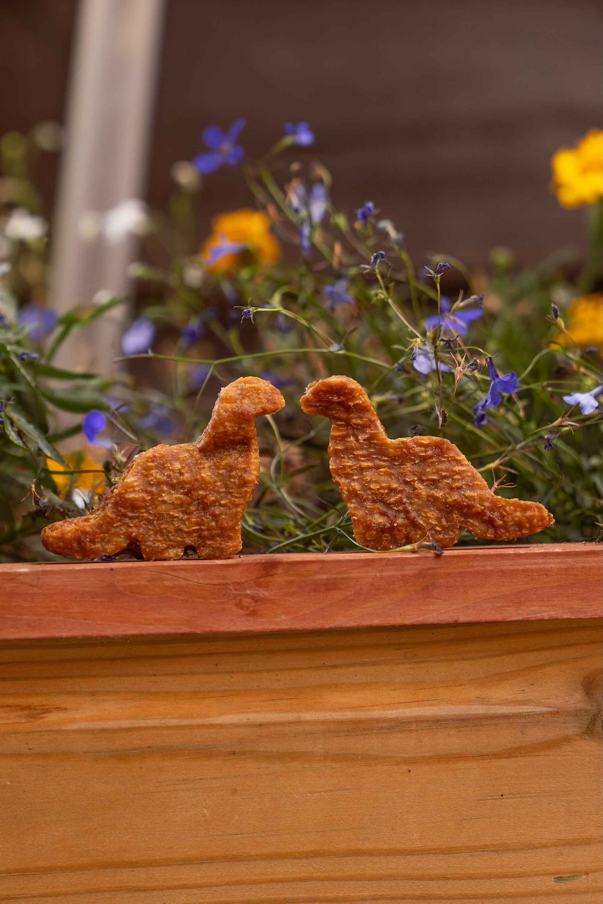 Brachiosaurus Dinosaur Nugget - Bodhi & The Birchtree