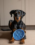 Snowflake Slow Feed Bowl In Ice - Bodhi & The Birchtree