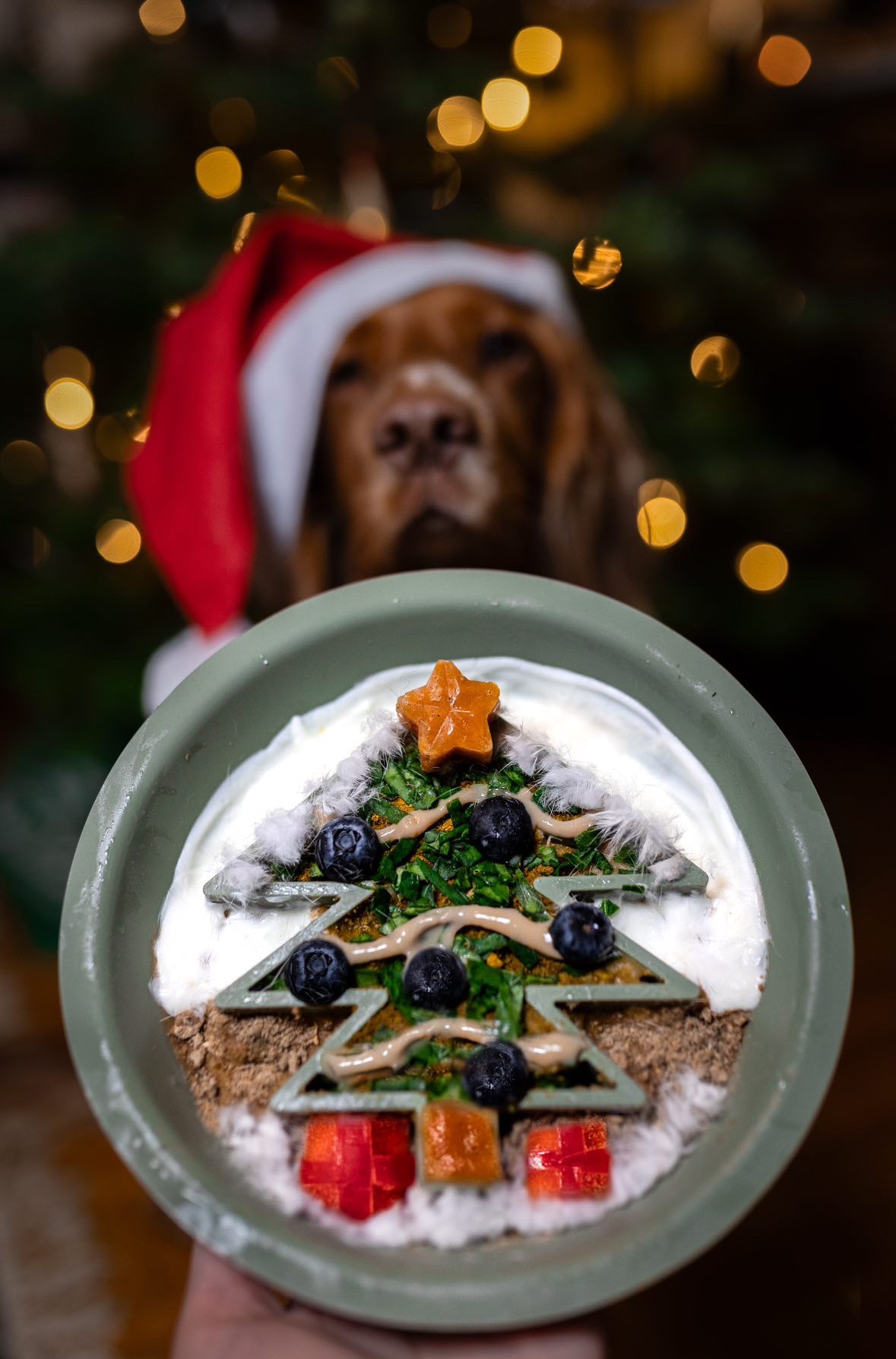 Festive Christmas Tree Dual Slow Feeder/Lick Mat Bowl - Bodhi & The Birchtree
