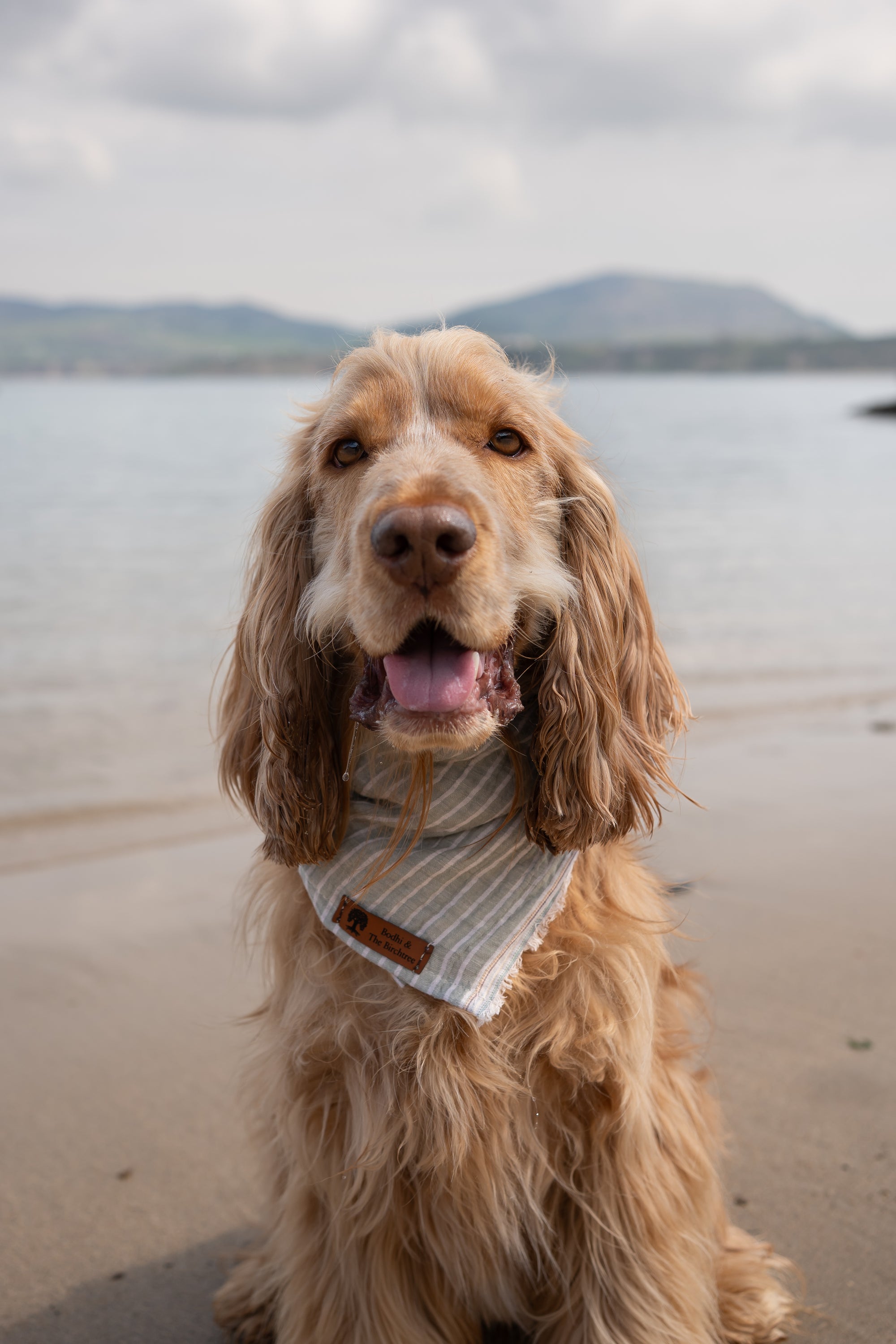 Mint Stripe Summer Cooling Bandana - Bodhi & The Birchtree