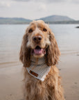 Mint Stripe Summer Cooling Bandana - Bodhi & The Birchtree
