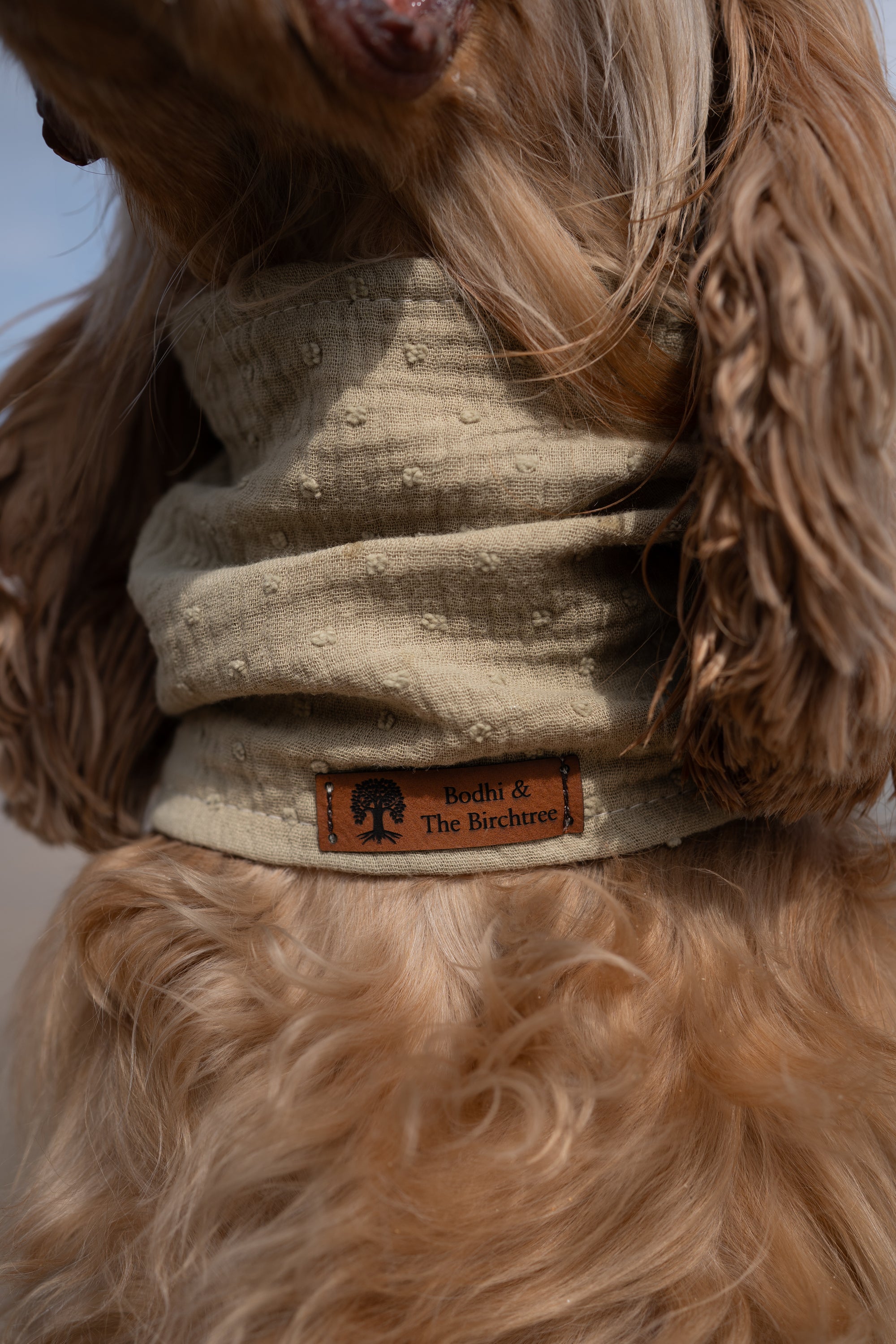 Olive Green Summer Cooling Bandana - Bodhi & The Birchtree