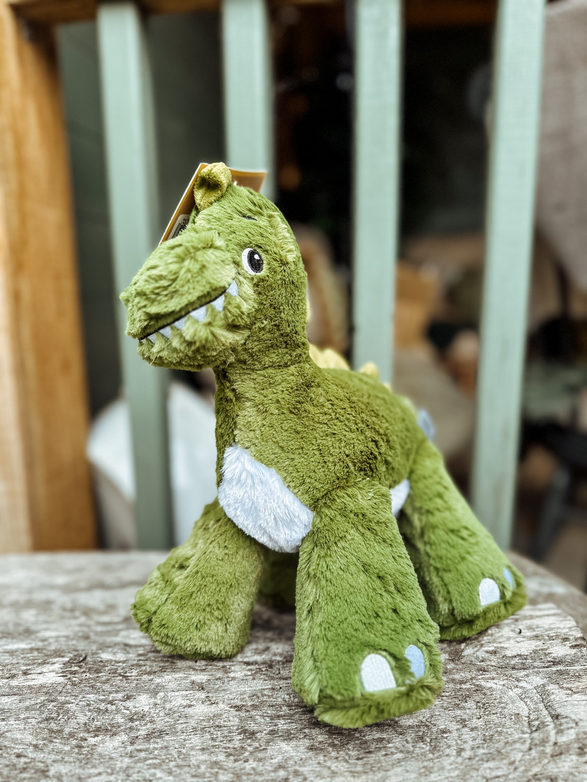 Big Paws Dinosaur Toy - Bodhi & The Birchtree