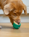 Food Dispenser & Slow Feeder Light & Spruce Green - Bodhi & The Birchtree