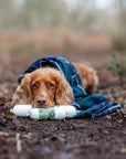 Anco Haggis Pate 200g - Bodhi & The Birchtree