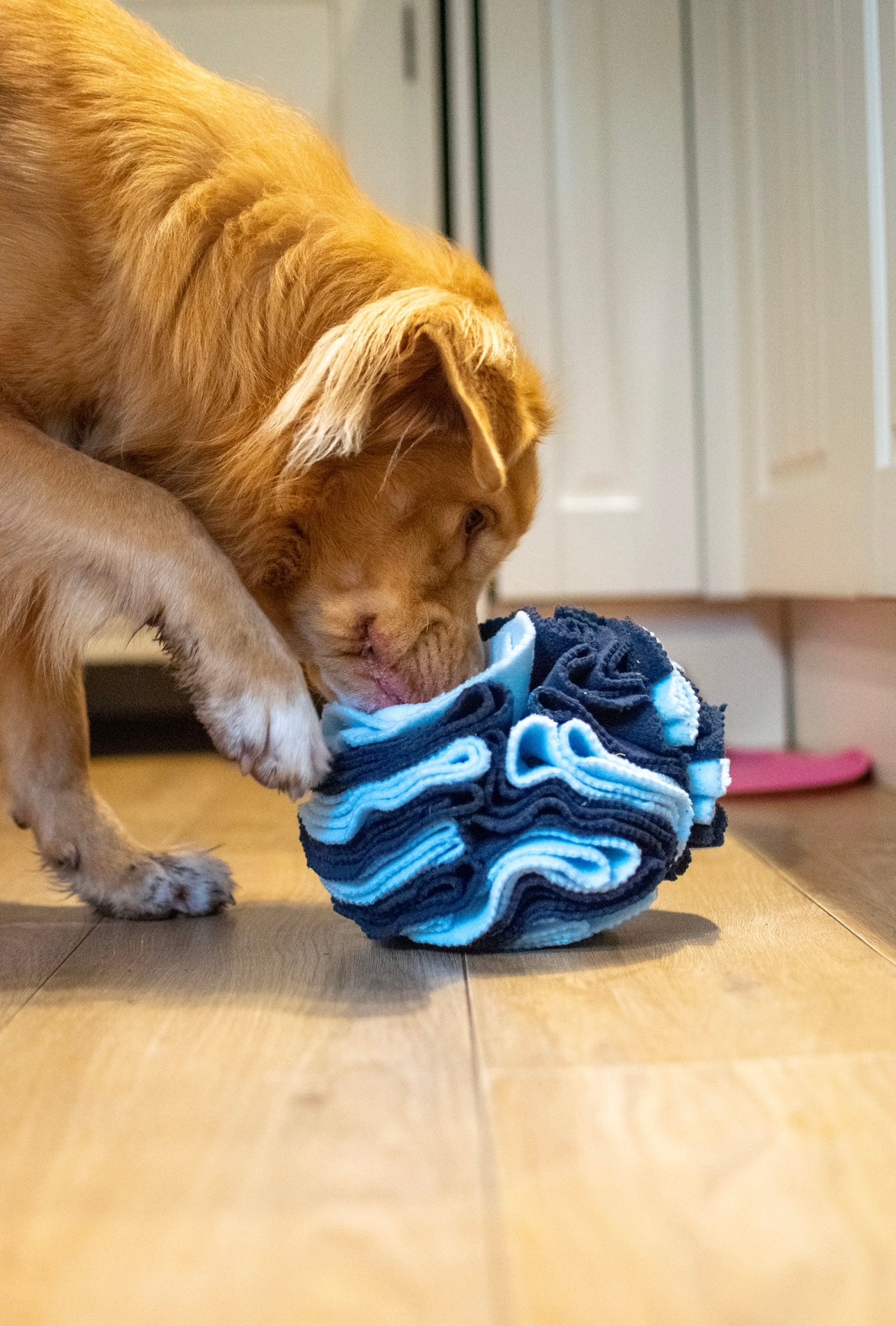 Bodhi & The Birchtree Large Blue Snuffle Ball - Bodhi & The Birchtree