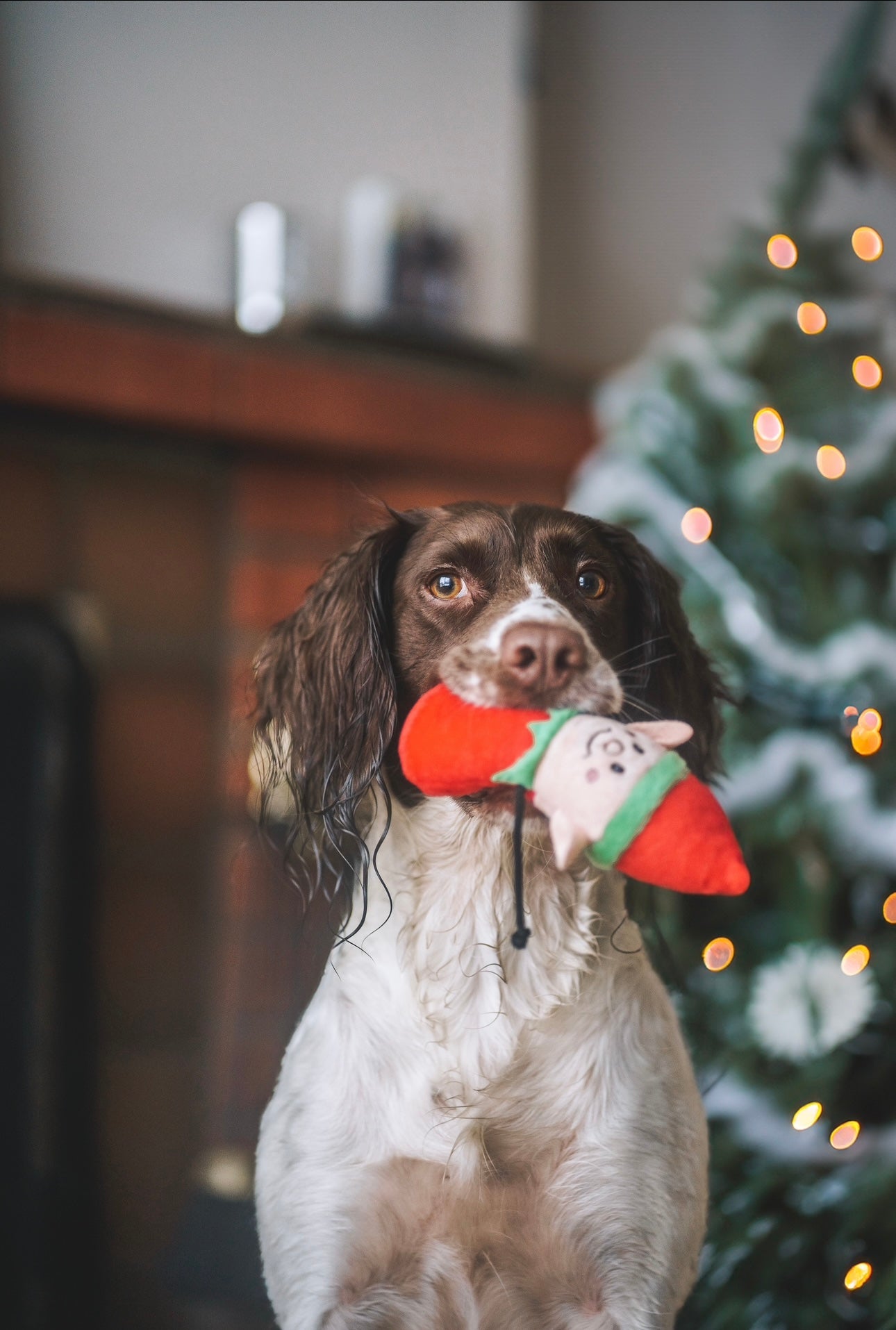 Holiday Burrow - Santa’s Workshop - Bodhi & The Birchtree