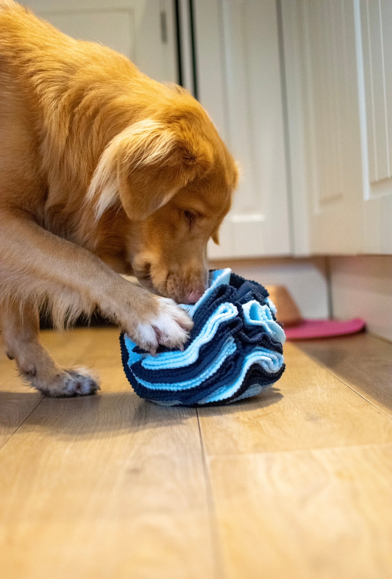 Bodhi & The Birchtree Large Blue Snuffle Ball - Bodhi & The Birchtree