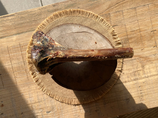 Ostrich Bone