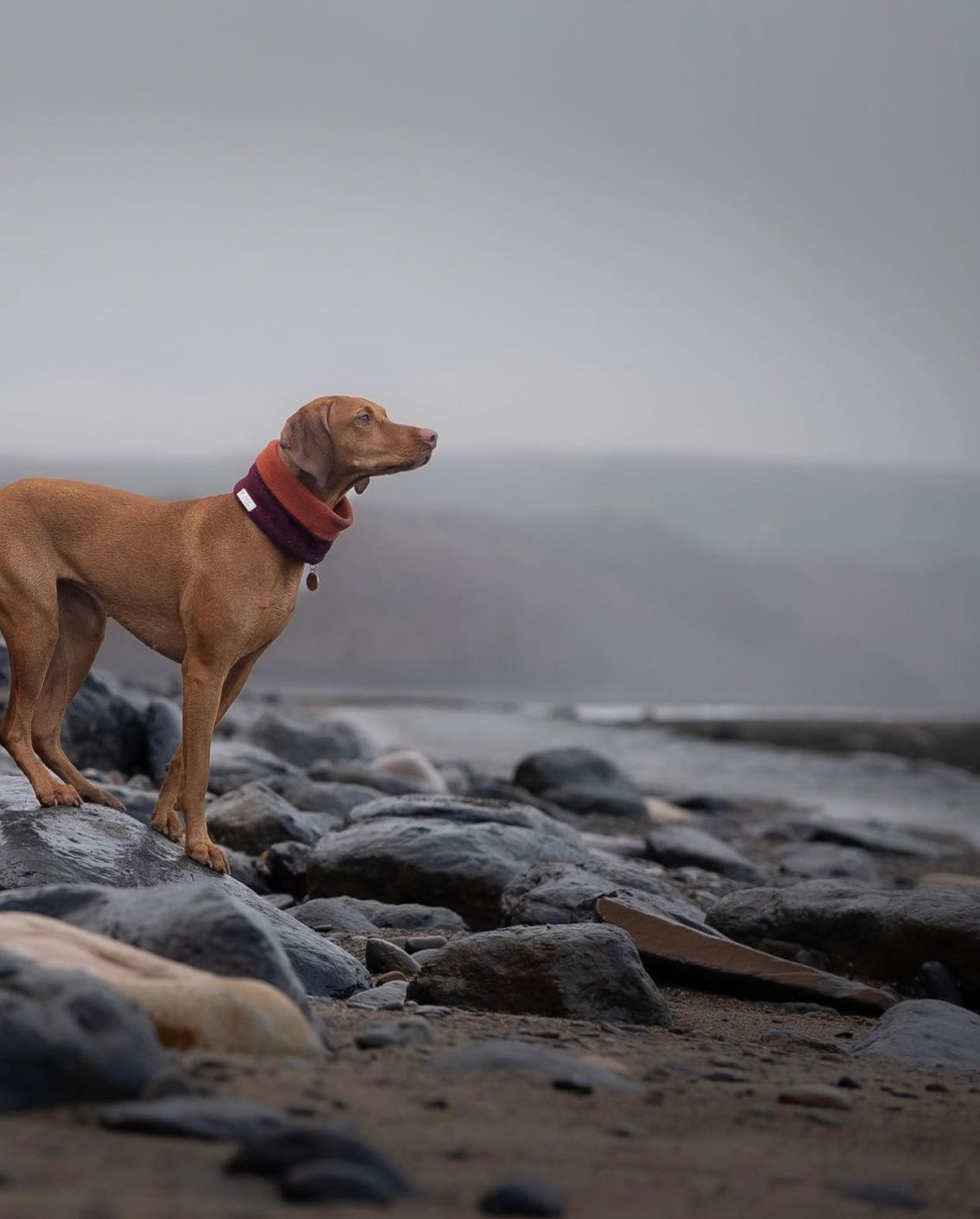 Build Your Own Polar Fleece Snood - Bodhi & The Birchtree