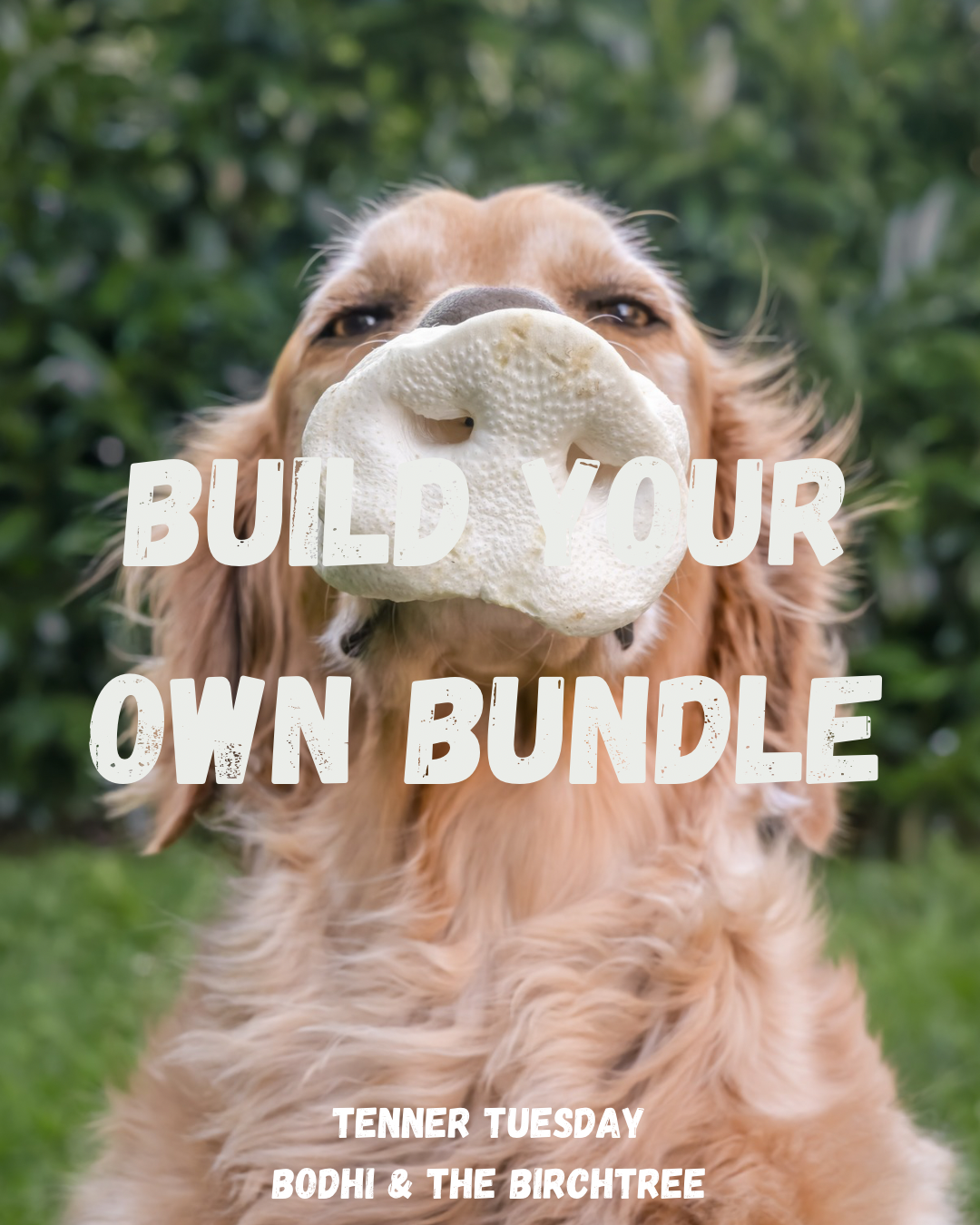 Fiver Friday Build Your Own Bundle