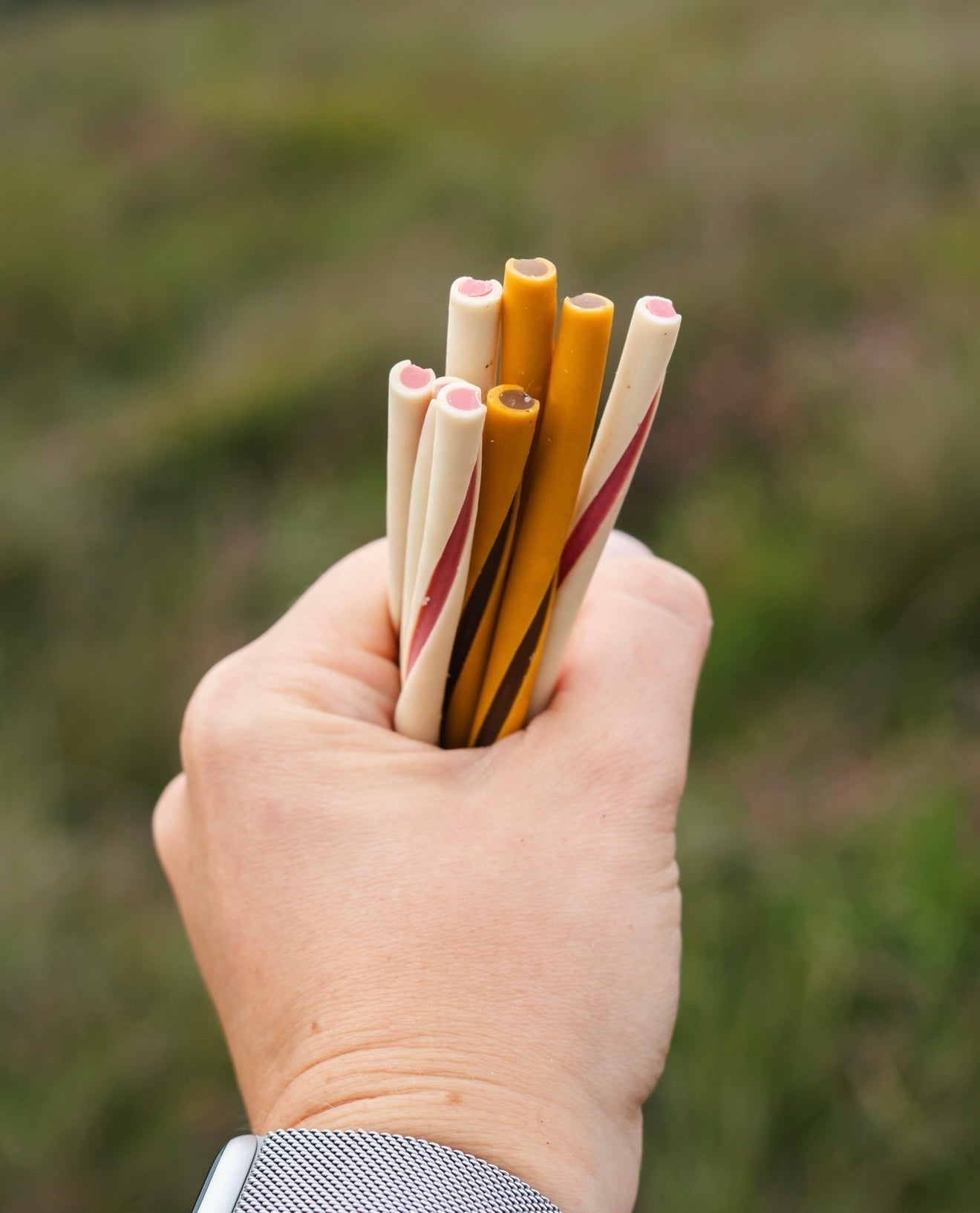 Thin Veggie Twist x18 - Fiver Friday Deal - Bodhi & The Birchtree