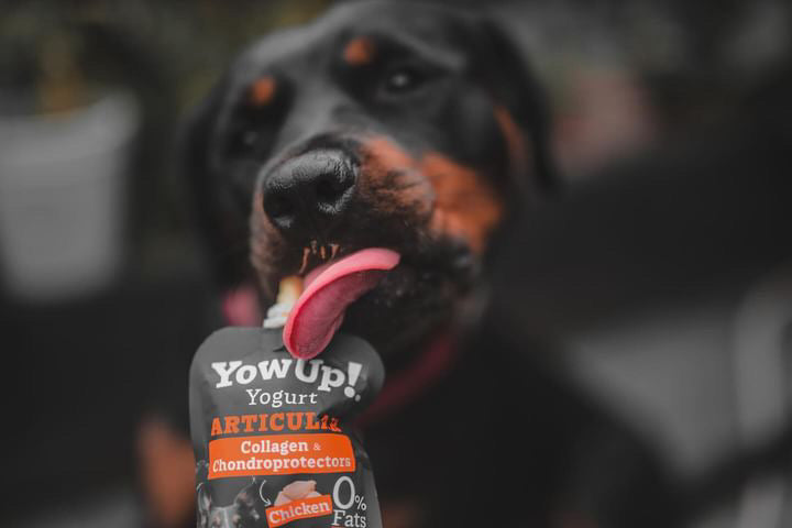 YowUp Dog Yoghurt Articular - Collagen &amp; Chondroprotectors - Bodhi &amp; The Birchtree