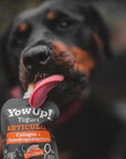 YowUp Dog Yoghurt Articular - Collagen & Chondroprotectors - Bodhi & The Birchtree